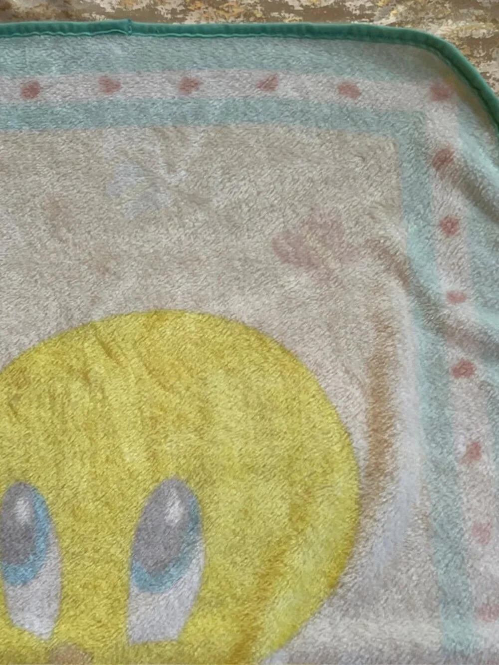 Vintage 2001 Baby Tweety Bird Looney Tunes Crib Blanket Plush Infant 28x42 Y2K